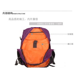 旅霸王紫色双肩电脑背包 旅游包gh206391050