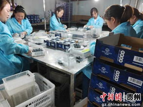 贵州黄平 特色产业助力扶贫 香菇 蓝莓 各领风骚