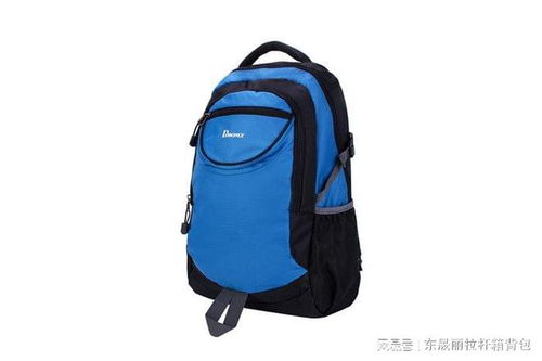 如何单双肩背包的日常维护