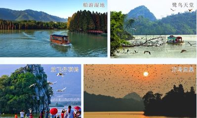 快约起!5月19日国际旅游日,肇庆这些景区有优惠~