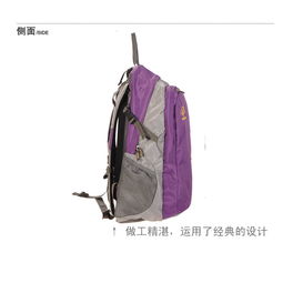 旅霸王紫色双肩电脑背包 旅游包gh206391044